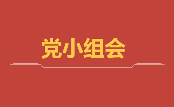 公司第二黨支部第一黨小組召開線上黨小組學(xué)習會議